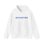 Translate Hoodie